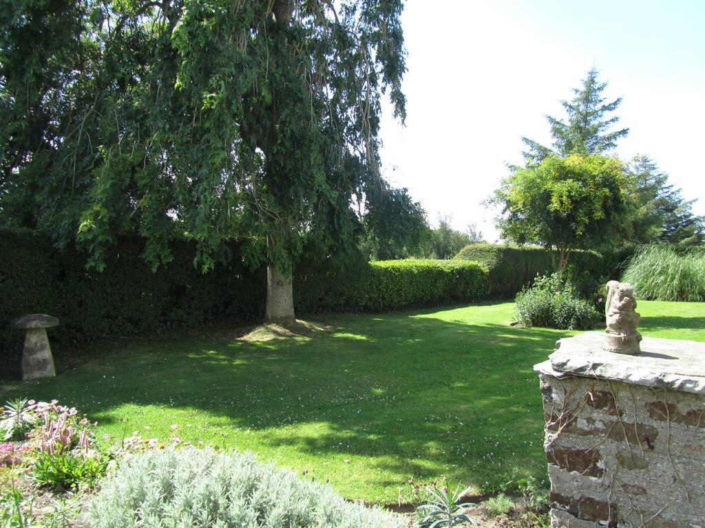 Vine Cottage At Eastleigh Bideford Room photo