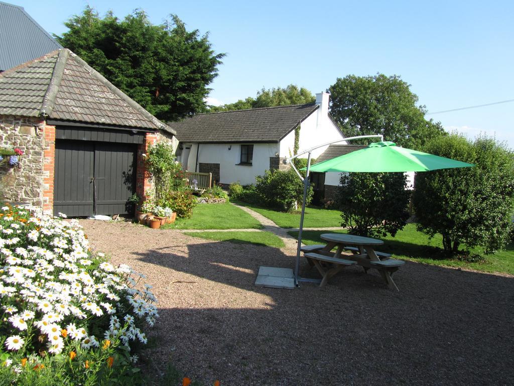 Vine Cottage At Eastleigh Bideford Room photo